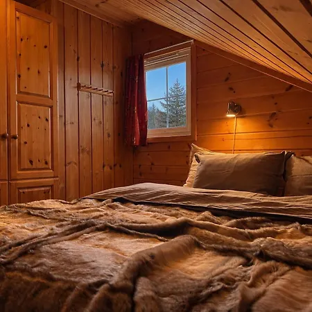 Dom wakacyjny Large Family - Friendly Ski-in-ski- Out In Geilo *