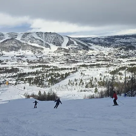 Large Family - Friendly Ski-in-ski- Out In Geilo *